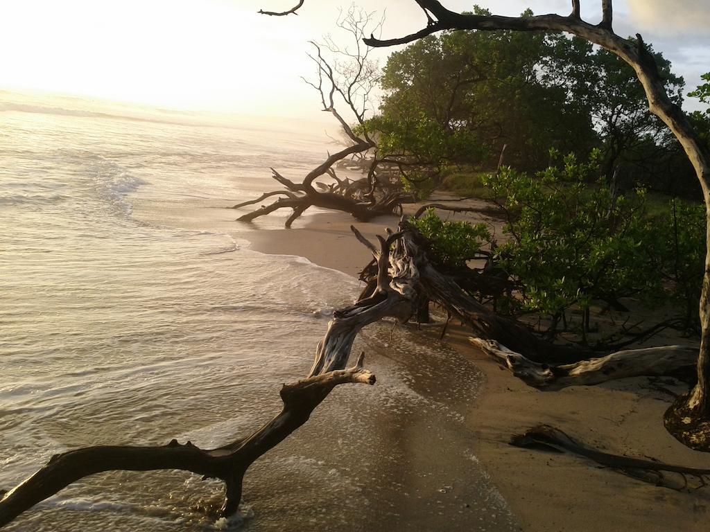 Cabinas Las Olas Playa Avellana Zewnętrze zdjęcie