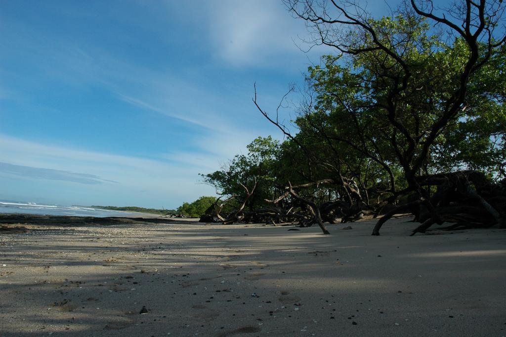 Cabinas Las Olas Playa Avellana Zewnętrze zdjęcie