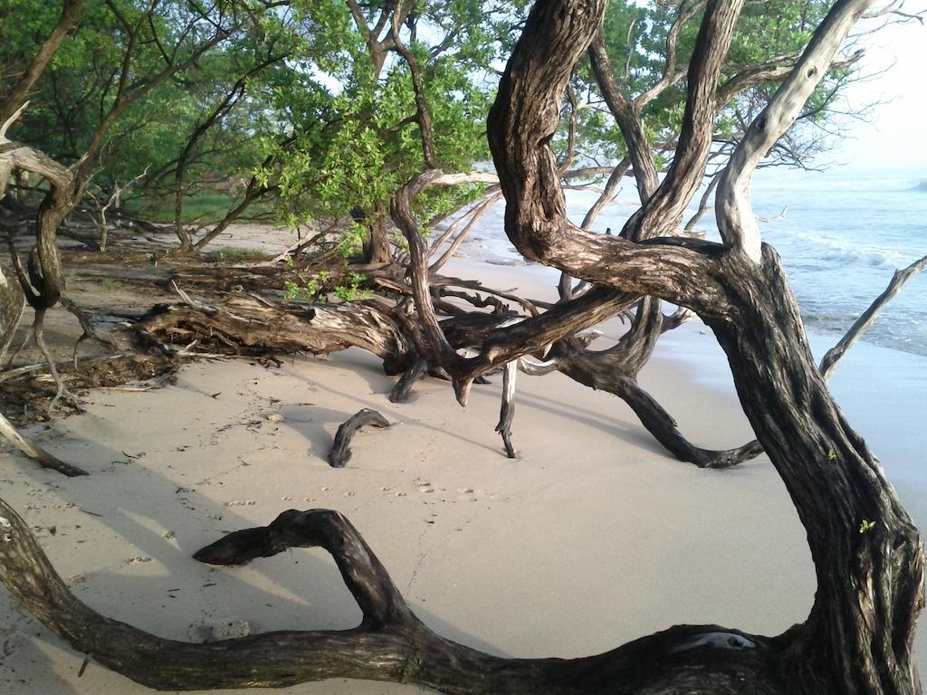 Cabinas Las Olas Playa Avellana Zewnętrze zdjęcie